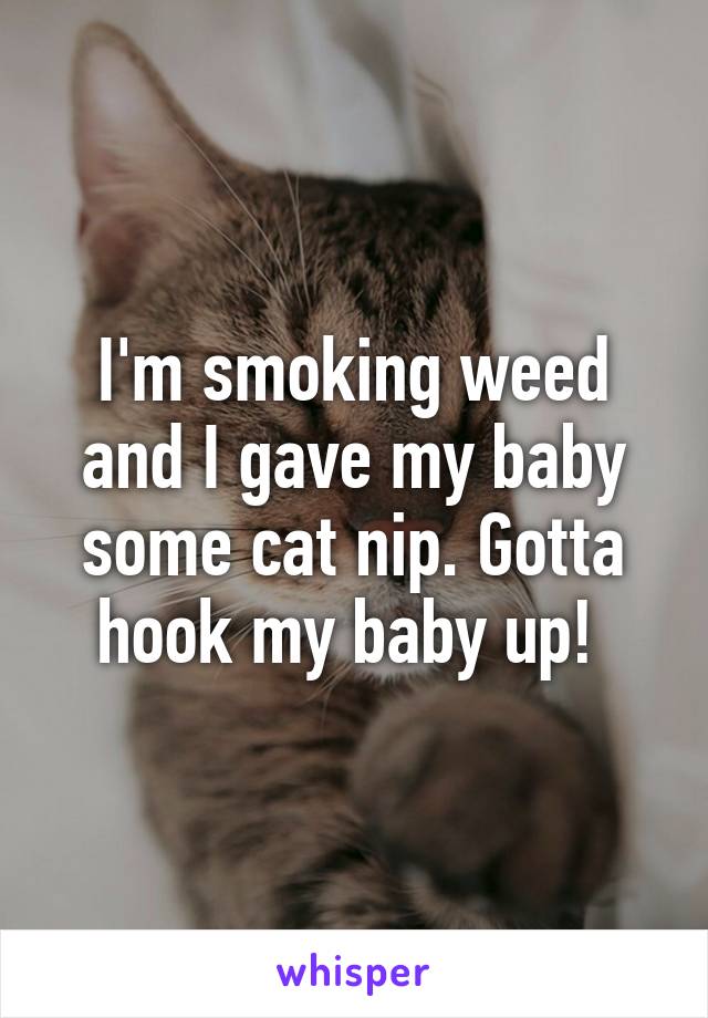 I'm smoking weed and I gave my baby some cat nip. Gotta hook my baby up! 