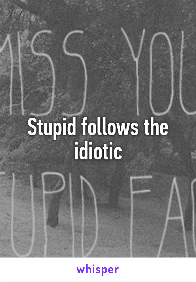 Stupid follows the idiotic