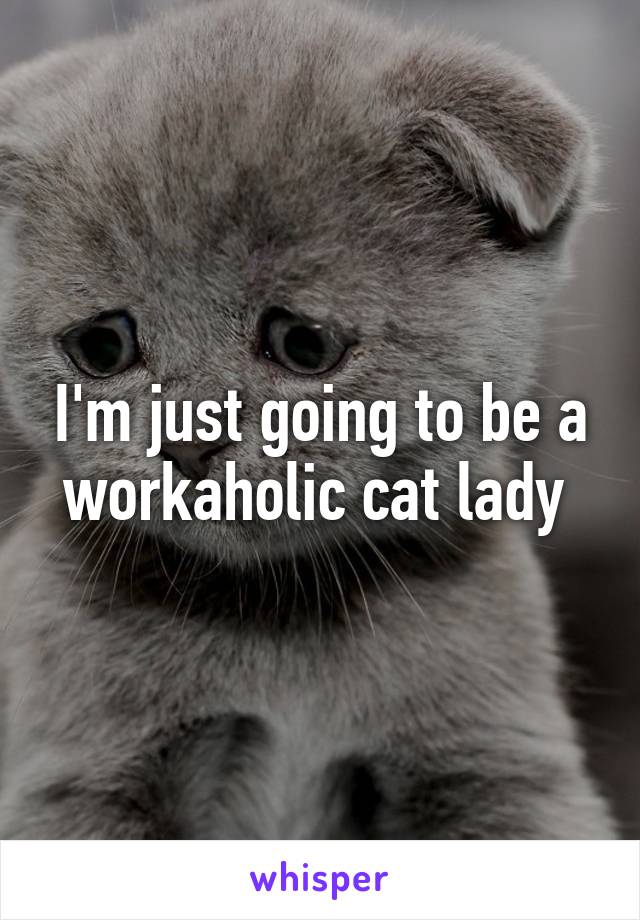 I'm just going to be a workaholic cat lady 