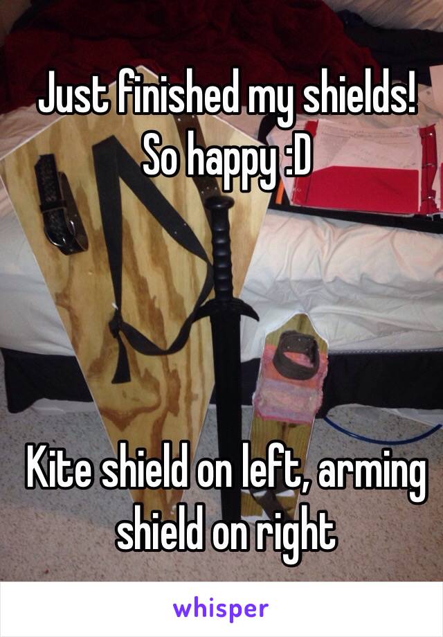 Just finished my shields!
So happy :D




Kite shield on left, arming shield on right