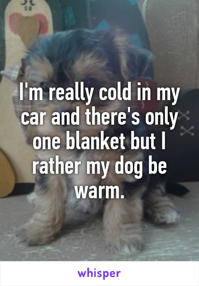 I'm really cold in my car and there's only one blanket but I rather my dog be warm.