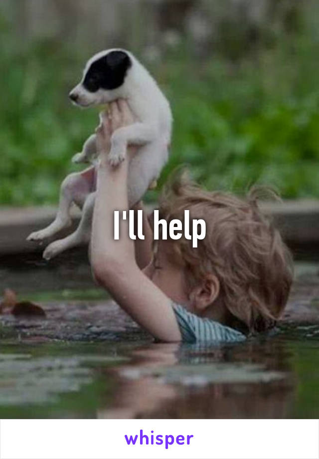 I'll help