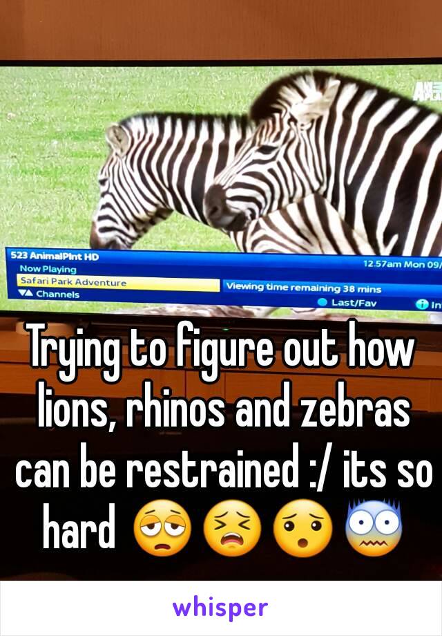 Trying to figure out how lions, rhinos and zebras can be restrained :/ its so hard 😩😣😯😨