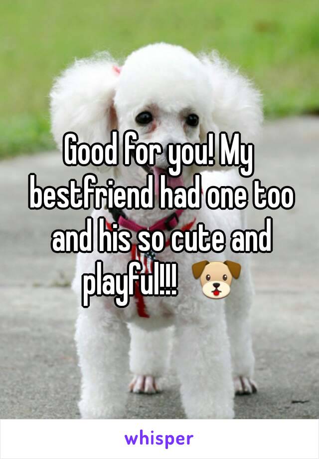 Good for you! My bestfriend had one too and his so cute and playful!!!  🐶