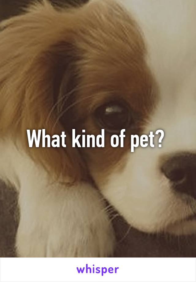 What kind of pet? 