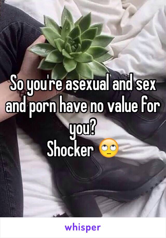 So you're asexual and sex and porn have no value for you? 
Shocker 🙄
