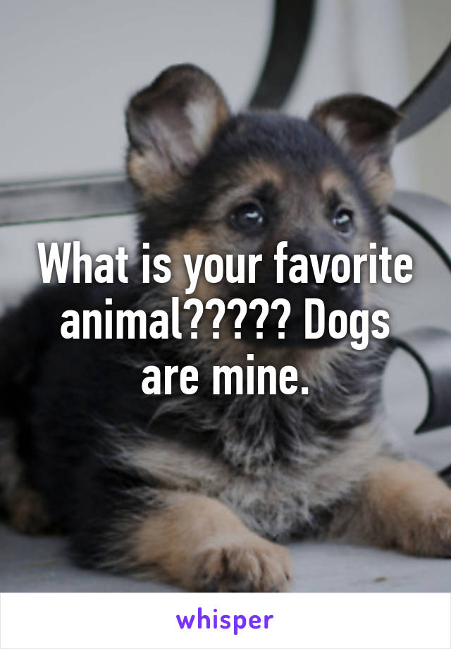 What is your favorite animal????? Dogs are mine.