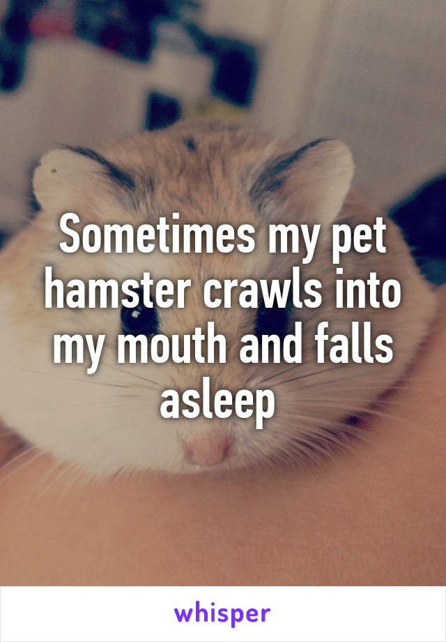 Sometimes my pet hamster crawls into my mouth and falls asleep 