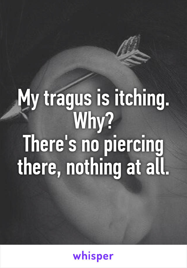 My tragus is itching.
Why?
There's no piercing there, nothing at all.