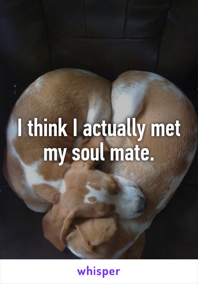 I think I actually met my soul mate.