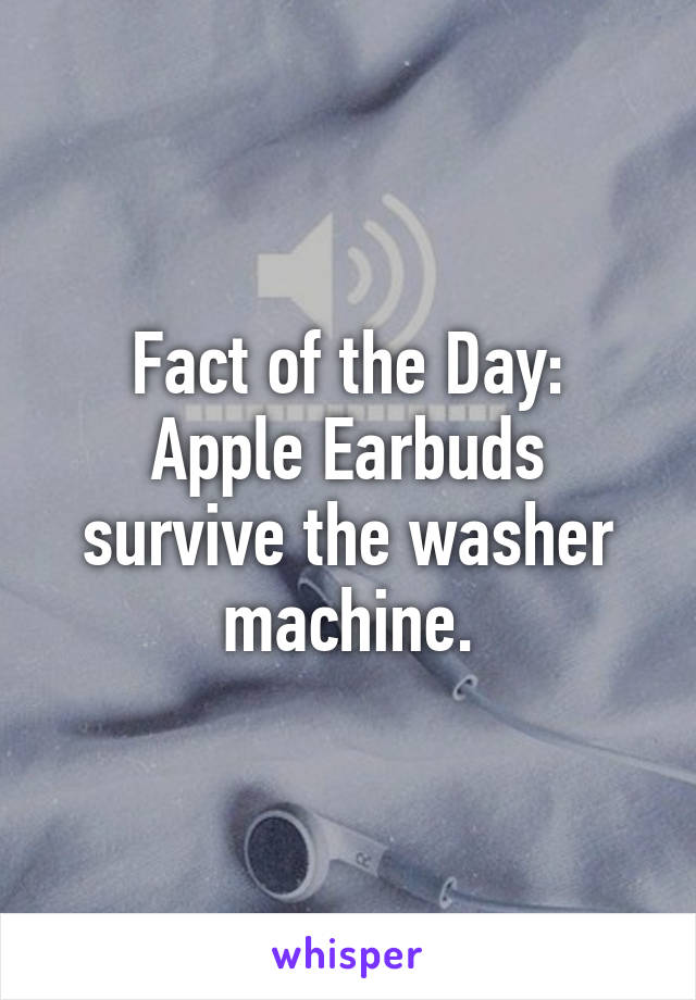 Fact of the Day:
Apple Earbuds survive the washer machine.