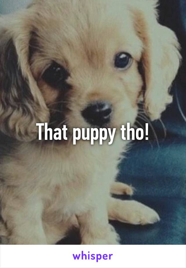 That puppy tho!