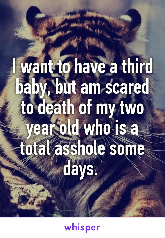 I want to have a third baby, but am scared to death of my two year old who is a total asshole some days. 