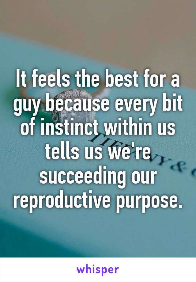 It feels the best for a guy because every bit of instinct within us tells us we're succeeding our reproductive purpose.