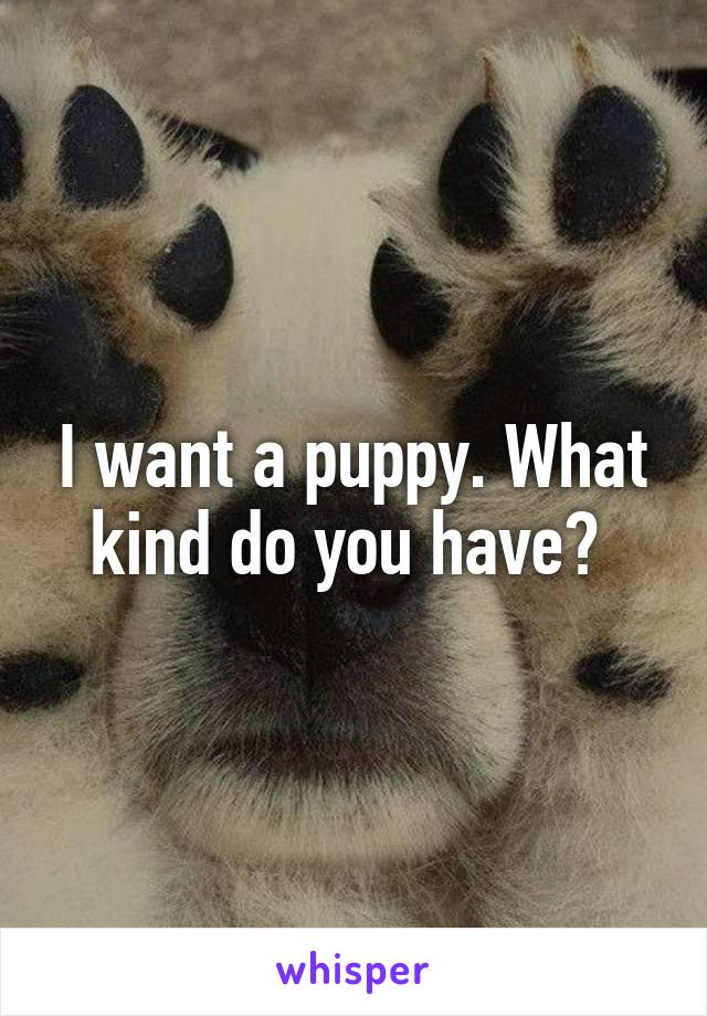 I want a puppy. What kind do you have? 