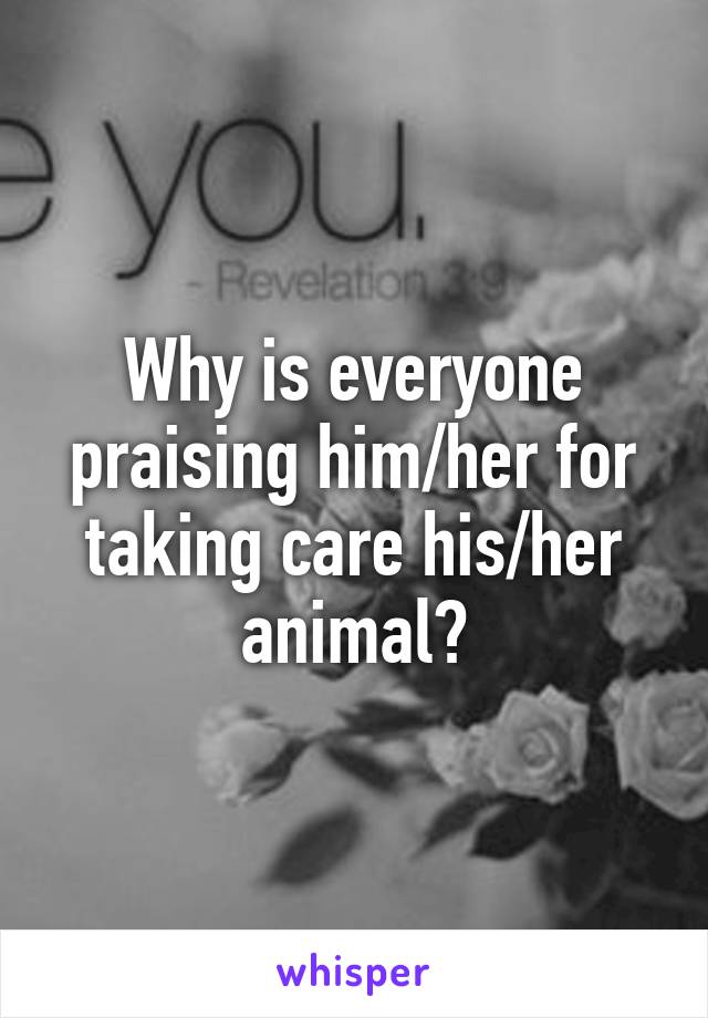 Why is everyone praising him/her for taking care his/her animal?