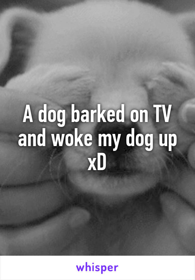 A dog barked on TV and woke my dog up xD