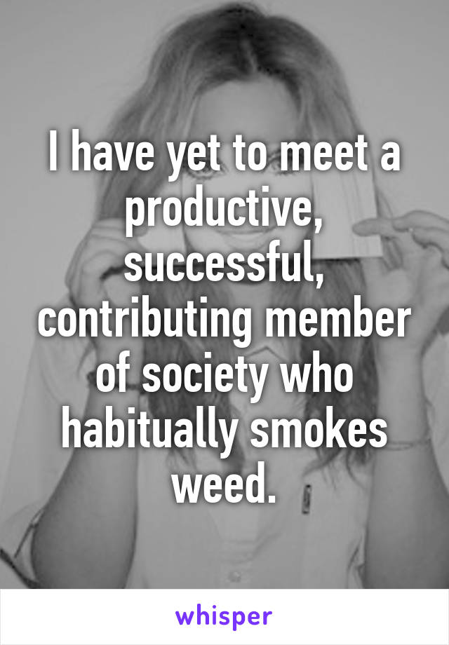 I have yet to meet a productive, successful, contributing member of society who habitually smokes weed.