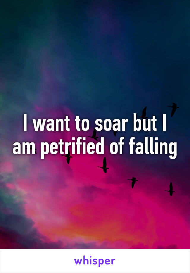 I want to soar but I am petrified of falling