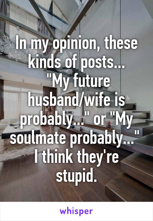 In my opinion, these kinds of posts...
 "My future husband/wife is probably..." or "My soulmate probably..." 
I think they're stupid.