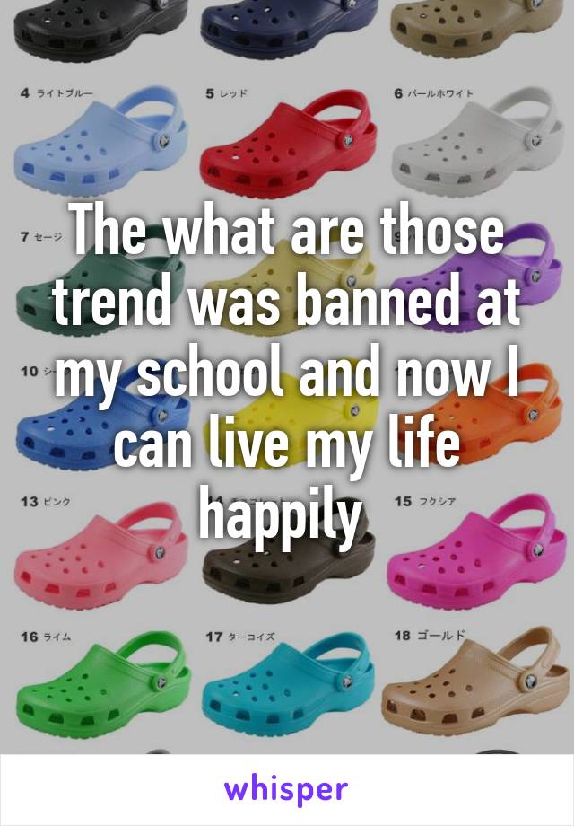 The what are those trend was banned at my school and now I can live my life happily 
