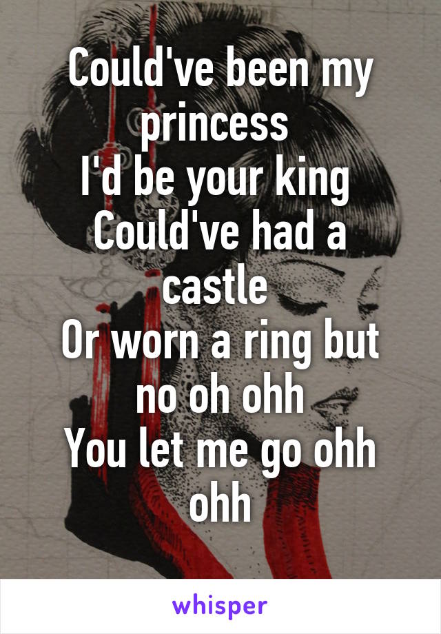 Could've been my princess 
I'd be your king 
Could've had a castle 
Or worn a ring but no oh ohh
You let me go ohh ohh
