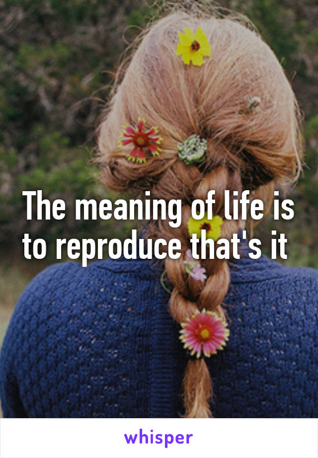 The meaning of life is to reproduce that's it 