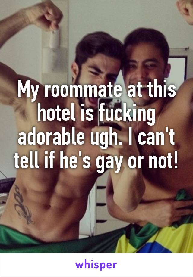 My roommate at this hotel is fucking adorable ugh. I can't tell if he's gay or not! 