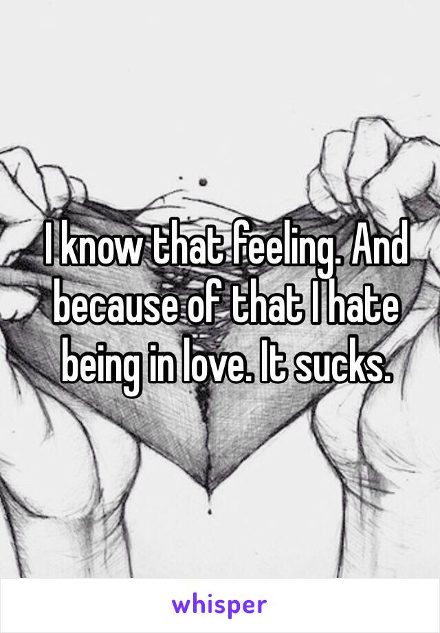 I know that feeling. And because of that I hate being in love. It sucks. 