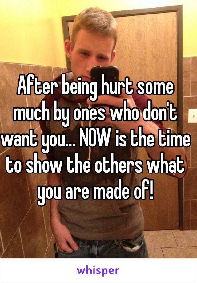 After being hurt some much by ones who don't want you... NOW is the time to show the others what you are made of!