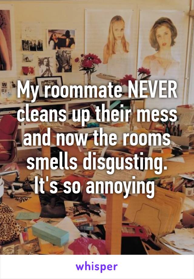 My roommate NEVER cleans up their mess and now the rooms smells disgusting. It's so annoying 