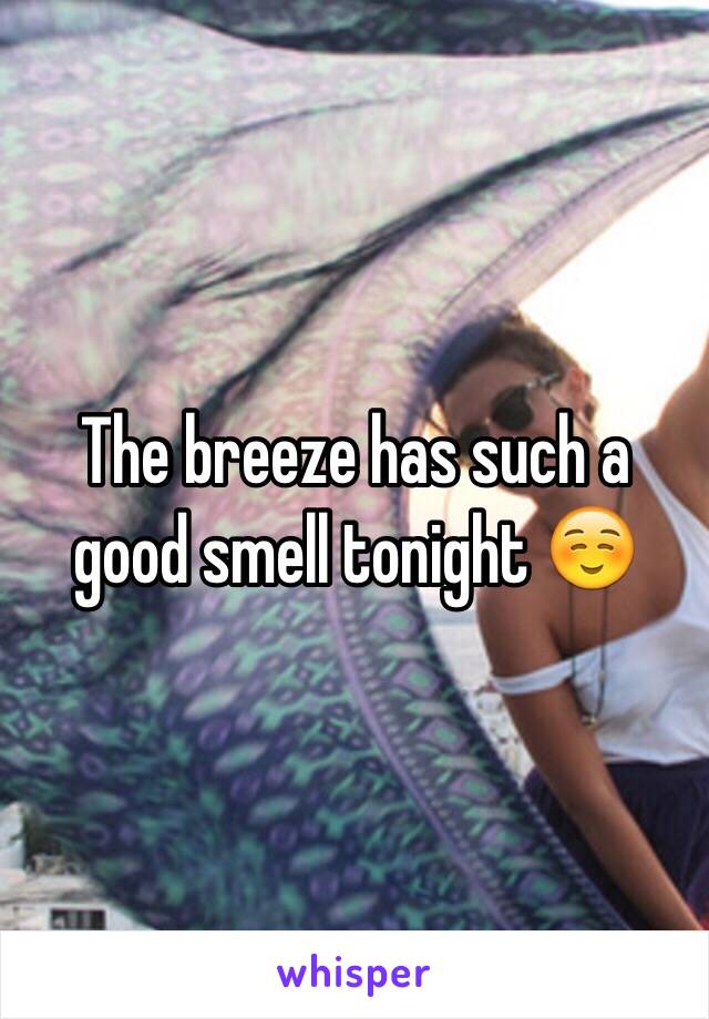 The breeze has such a good smell tonight ☺️