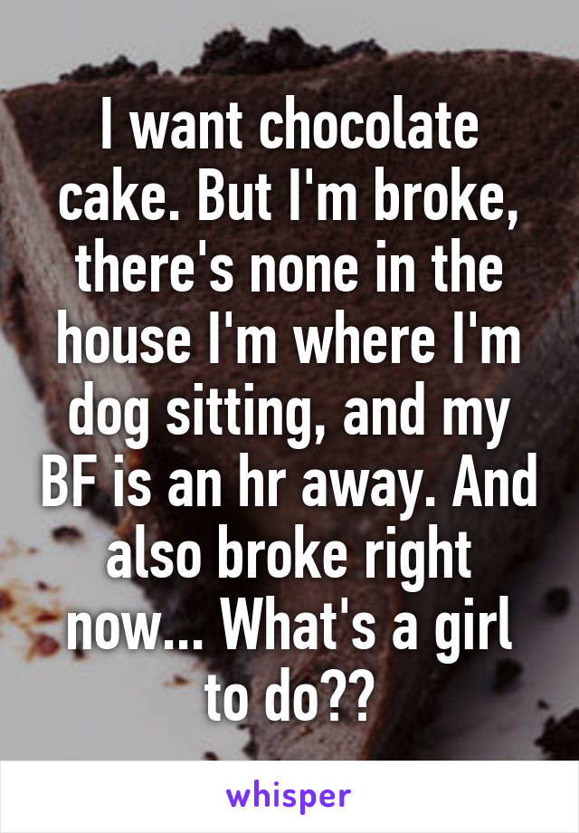 I want chocolate cake. But I'm broke, there's none in the house I'm where I'm dog sitting, and my BF is an hr away. And also broke right now... What's a girl to do??