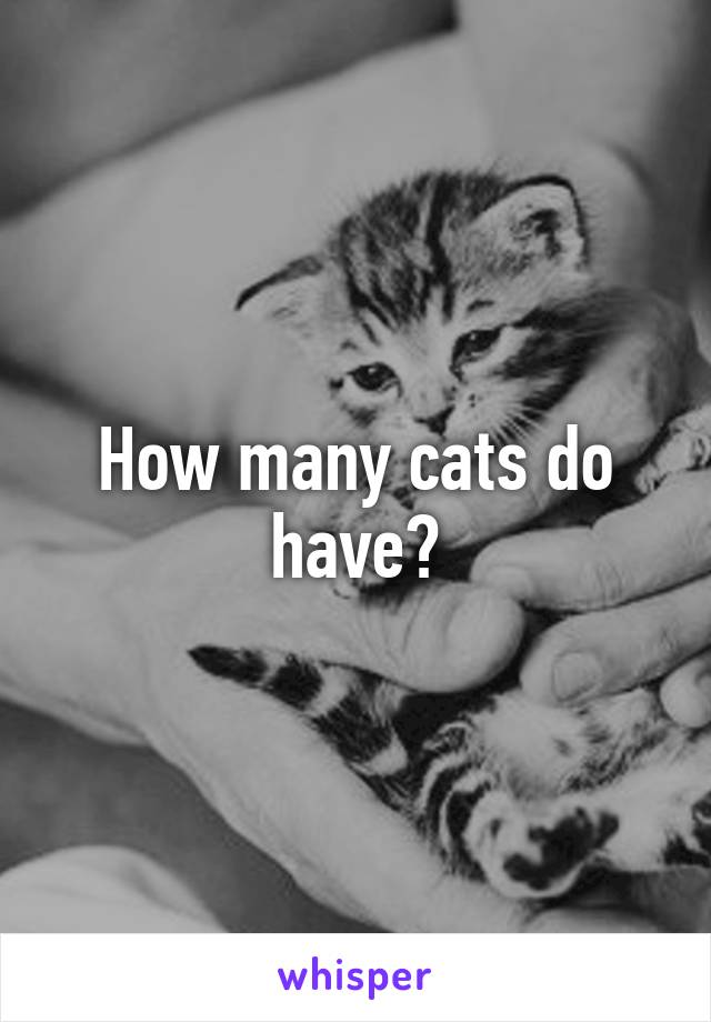 How many cats do have?