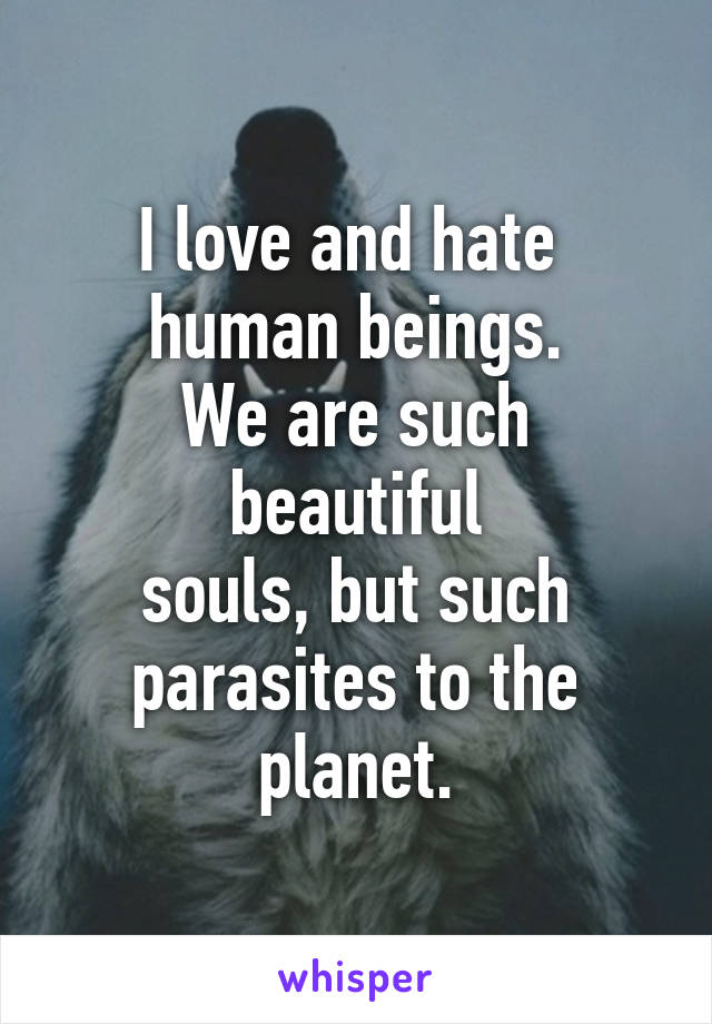 I love and hate 
human beings.
We are such beautiful
souls, but such
parasites to the planet.