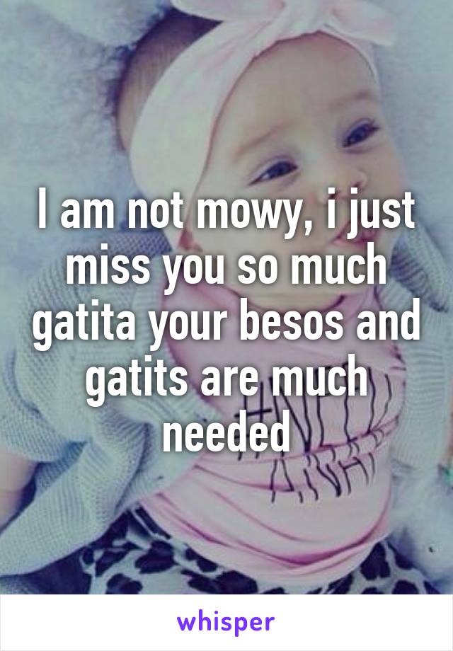 I am not mowy, i just miss you so much gatita your besos and gatits are much needed