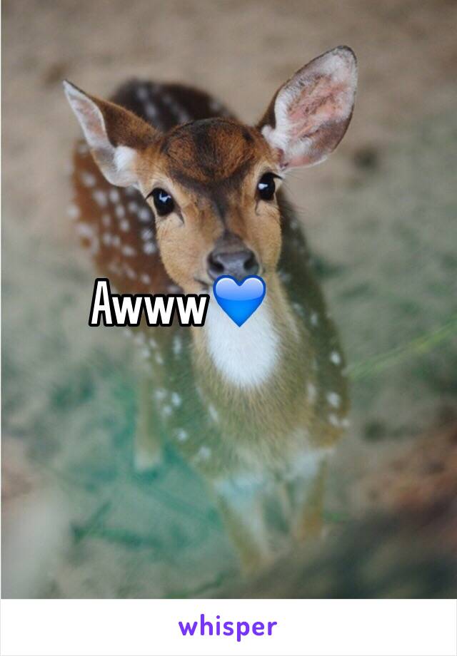 Awww💙