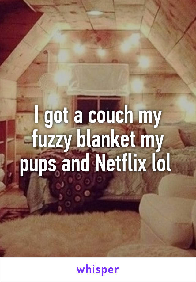 I got a couch my fuzzy blanket my pups and Netflix lol 