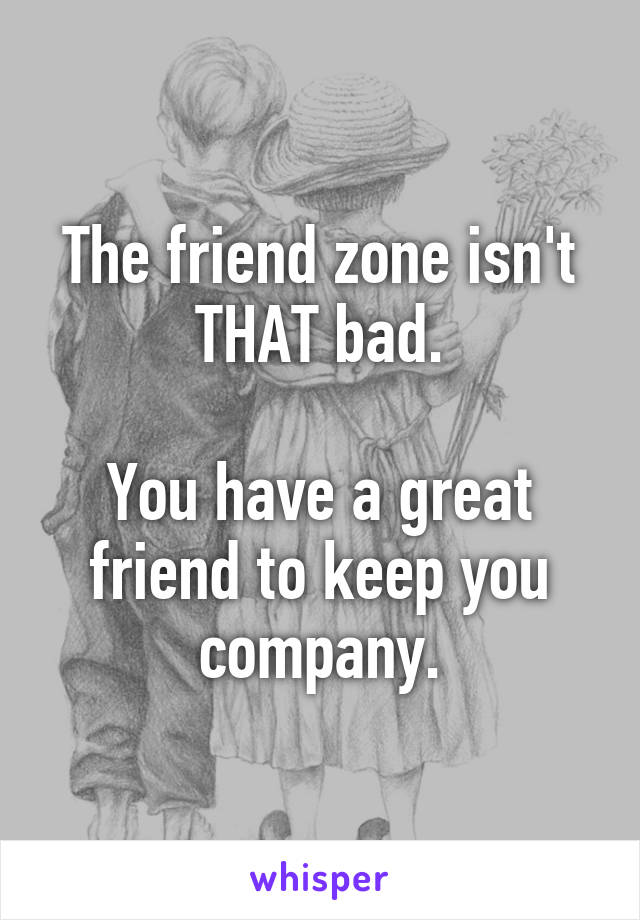 The friend zone isn't THAT bad.

You have a great friend to keep you company.