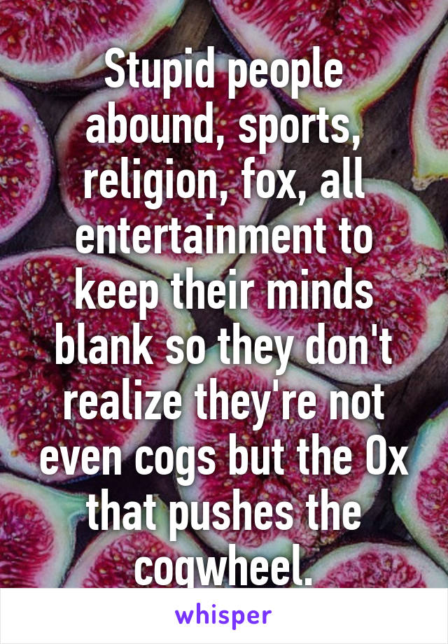 Stupid people abound, sports, religion, fox, all entertainment to keep their minds blank so they don't realize they're not even cogs but the Ox that pushes the cogwheel.