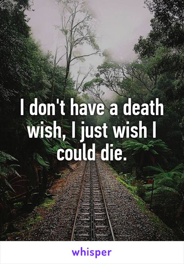 I don't have a death wish, I just wish I could die.