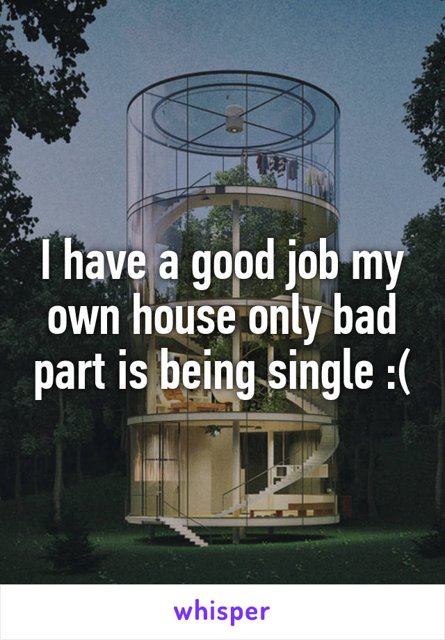 I have a good job my own house only bad part is being single :(