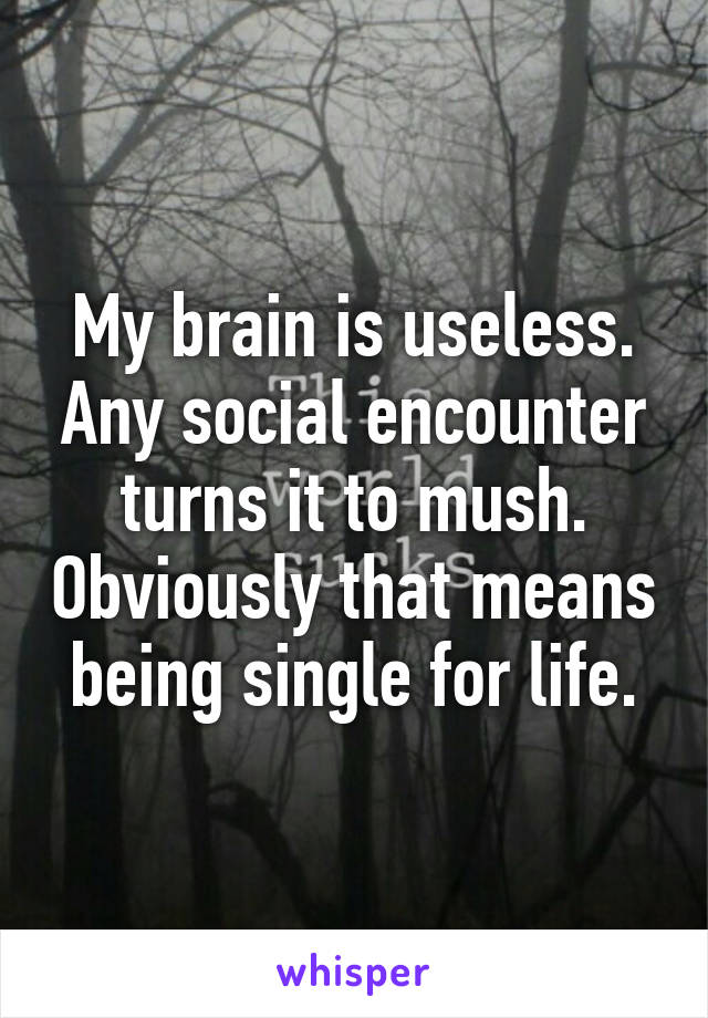 My brain is useless. Any social encounter turns it to mush. Obviously that means being single for life.