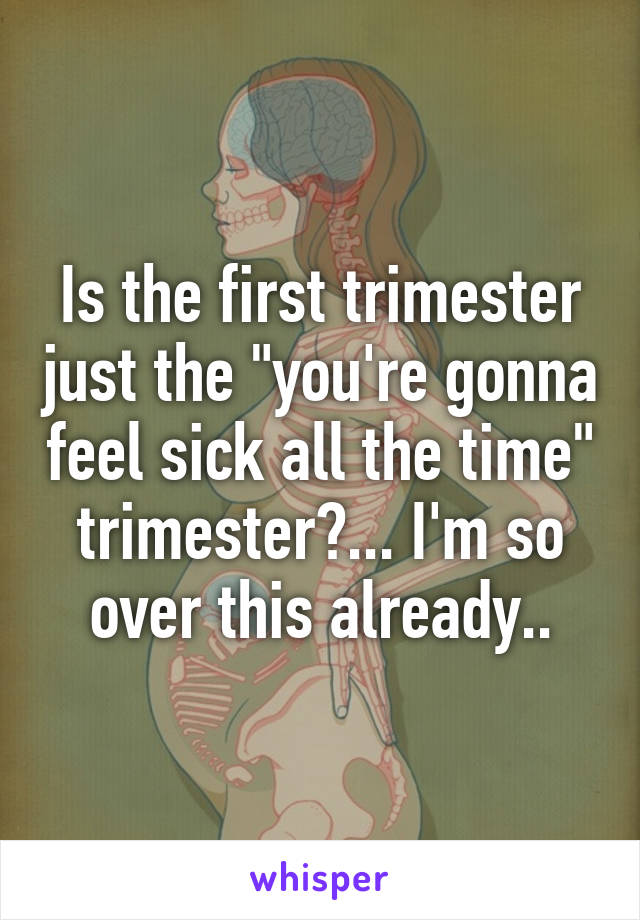 Is the first trimester just the "you're gonna feel sick all the time" trimester?... I'm so over this already..