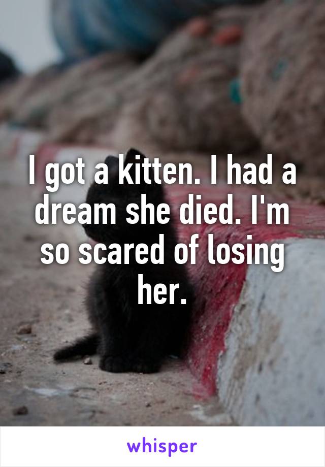 I got a kitten. I had a dream she died. I'm so scared of losing her.