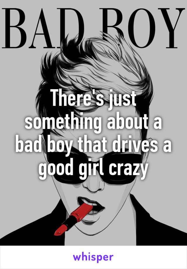 There's just something about a bad boy that drives a good girl crazy