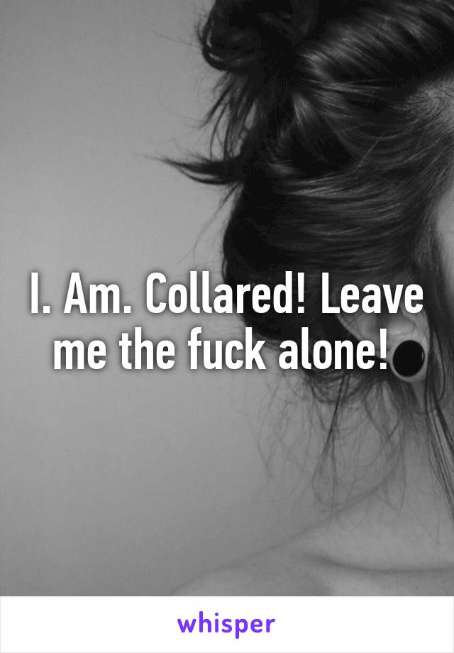 I. Am. Collared! Leave me the fuck alone! 