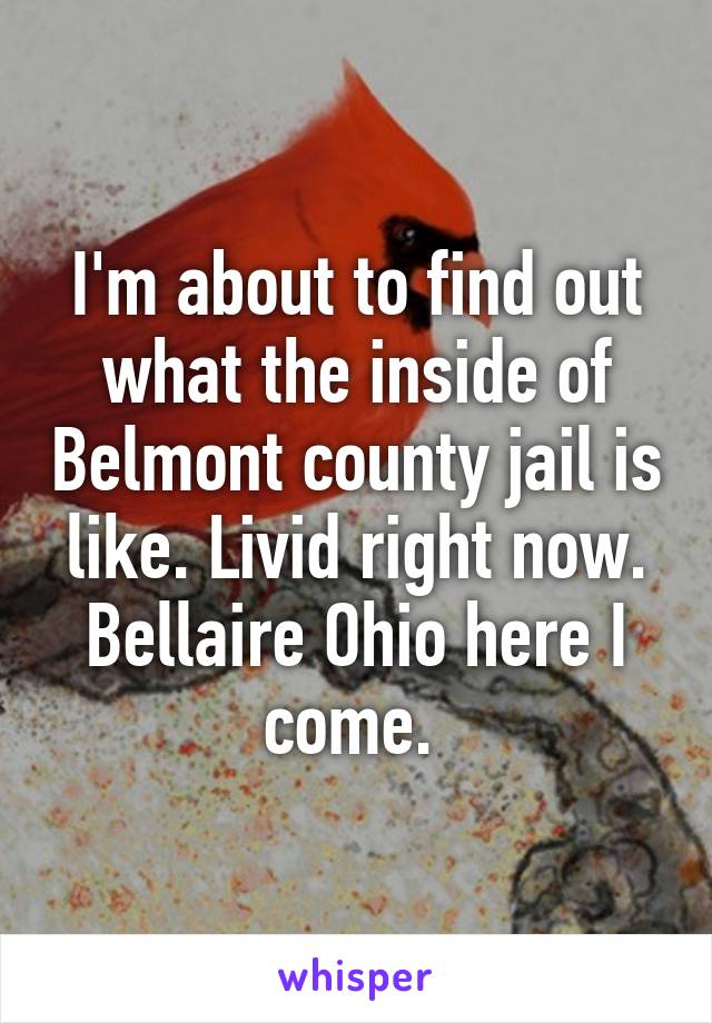 I'm about to find out what the inside of Belmont county jail is like. Livid right now. Bellaire Ohio here I come. 