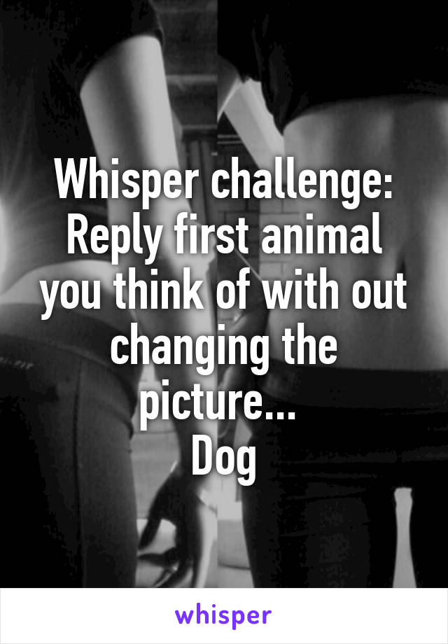 Whisper challenge:
Reply first animal you think of with out changing the picture... 
Dog