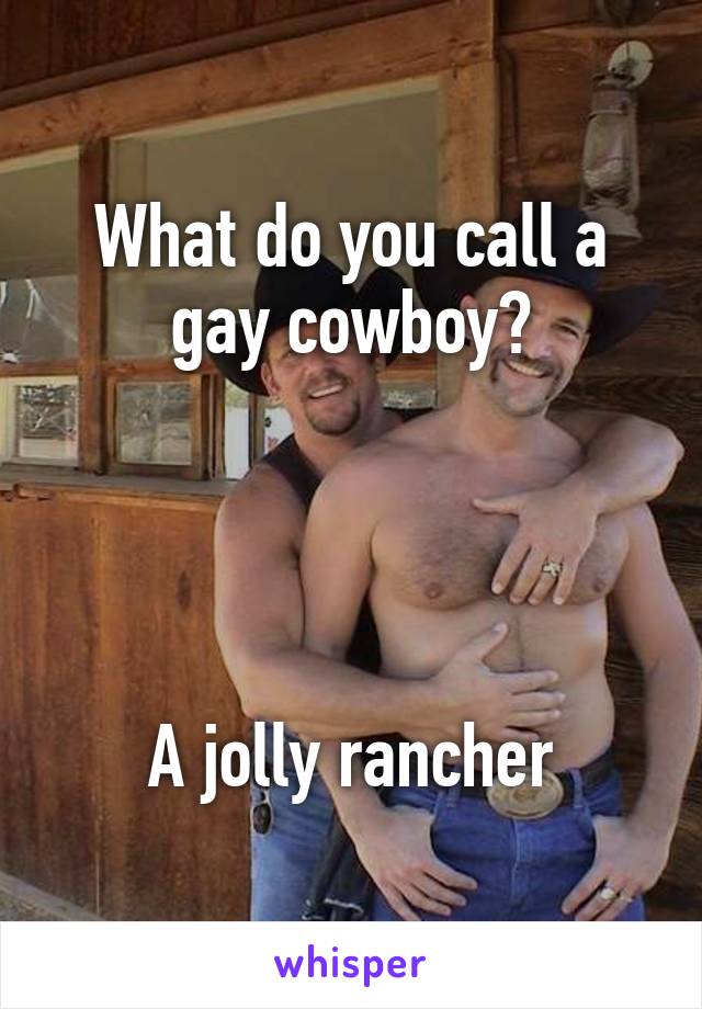 What do you call a gay cowboy?




A jolly rancher